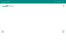 Tablet Screenshot of emfo.com